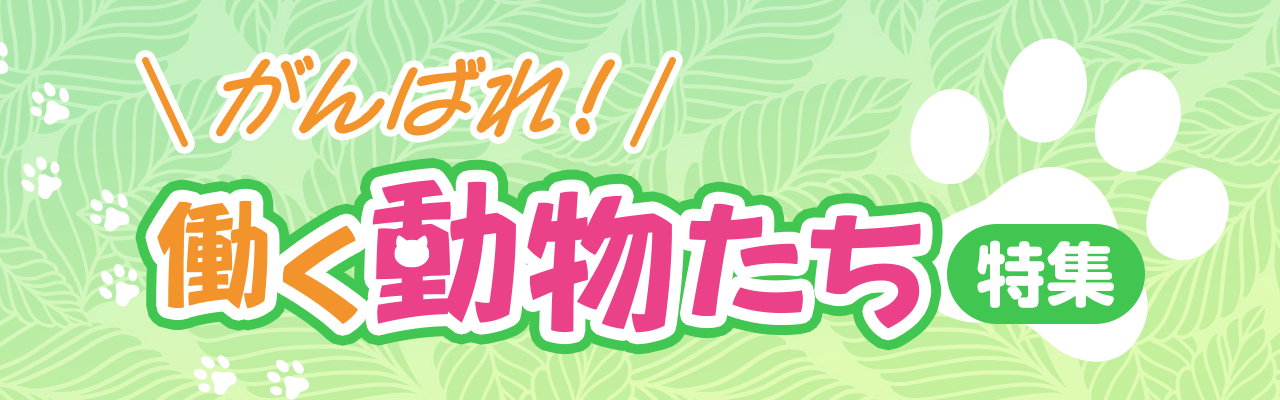 がんばれ！働く動物たち特集