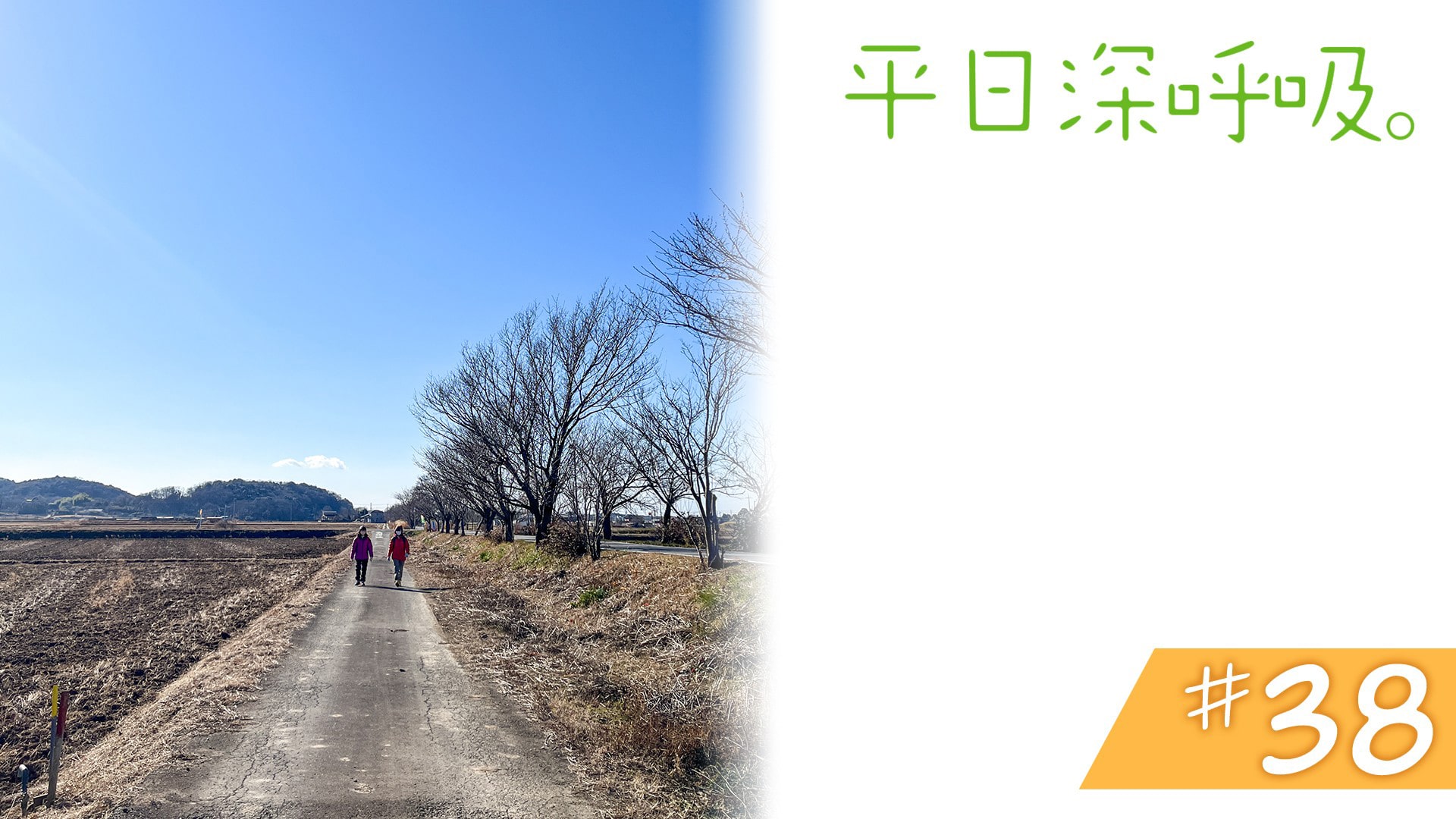 #38　茨城県つくば市、筑波山