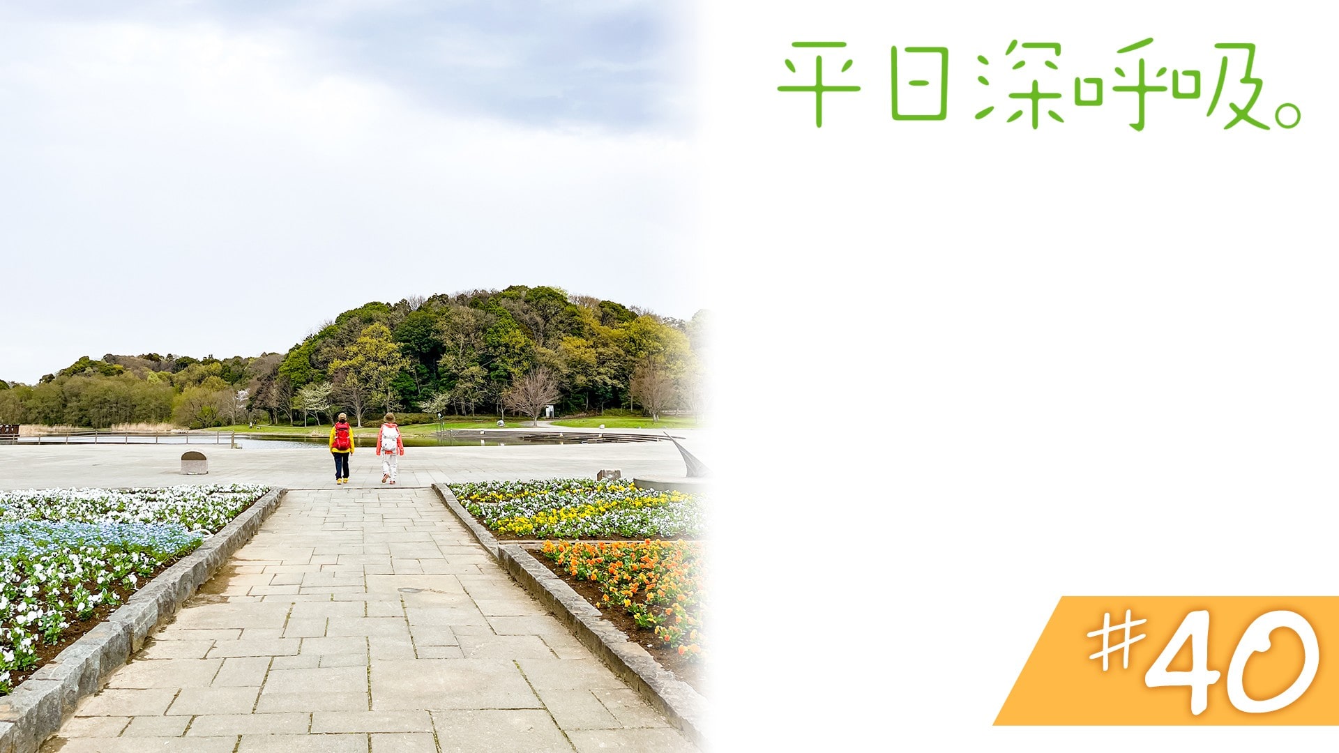 #40　千葉県松戸市 21世紀の森と広場
