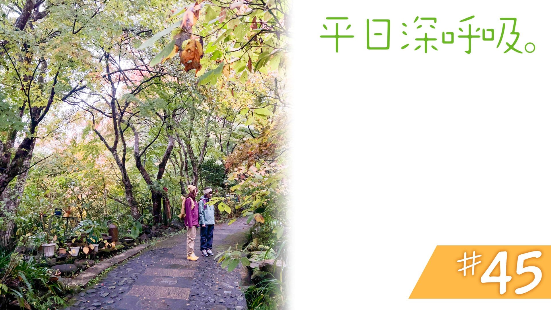 #45　東京都西多摩郡奥多摩町、日の出町、あきる野市＜前編＞