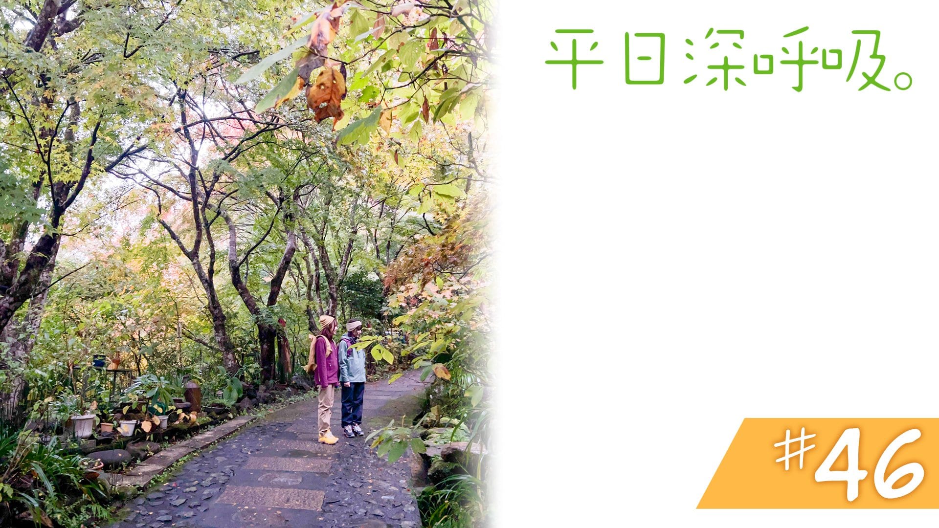 #46　東京都西多摩郡奥多摩町、日の出町、あきる野市＜後編＞