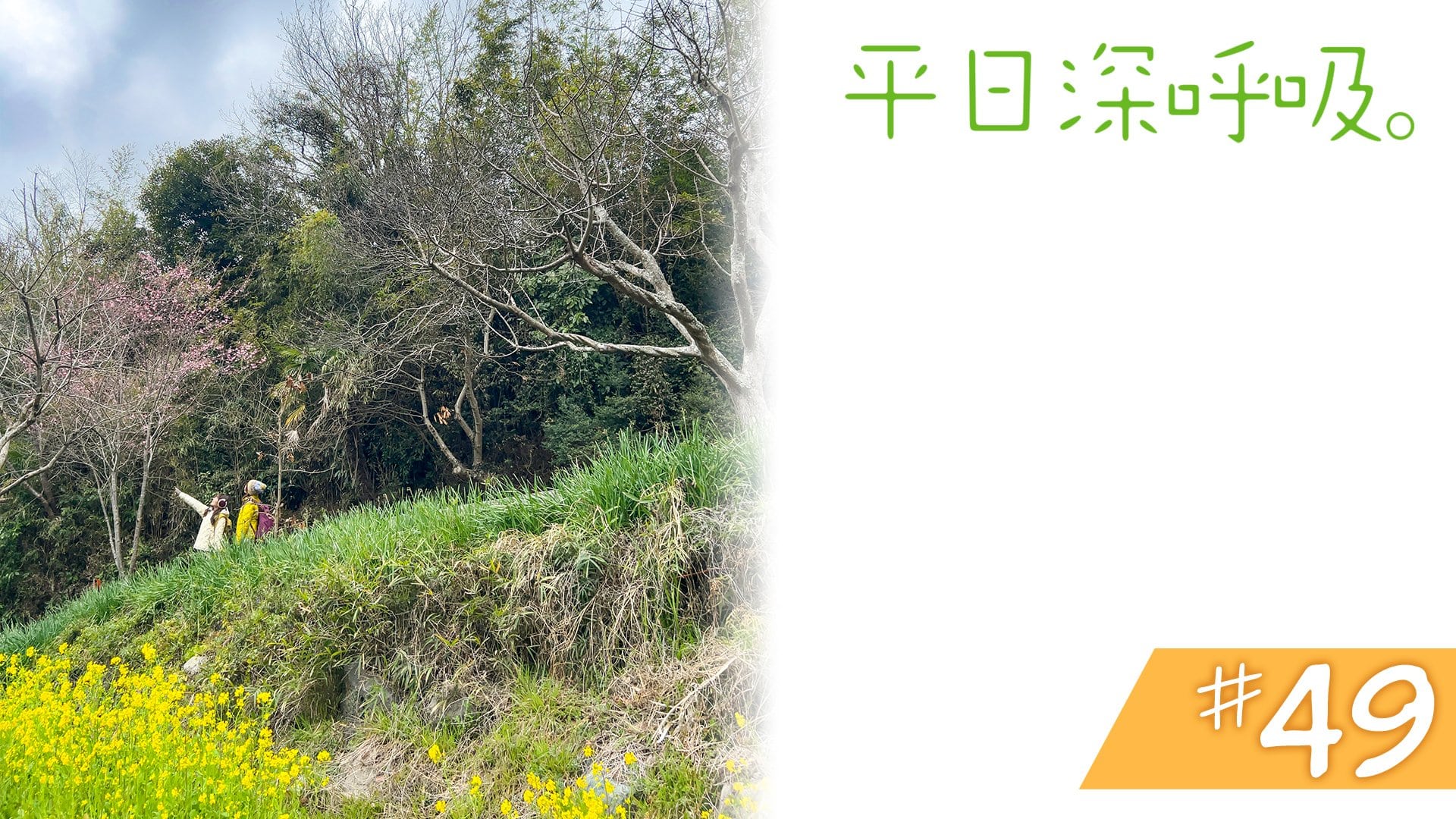 #49　千葉県富津市＜前編＞