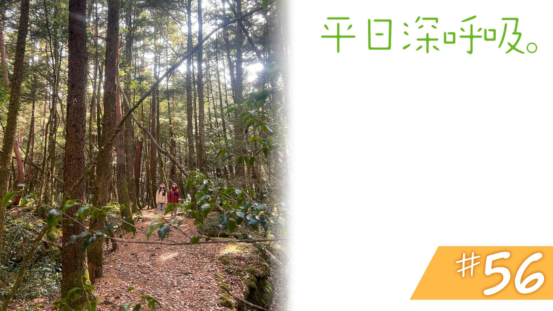 #56　山梨県南都留郡富士河口湖町＜後編＞