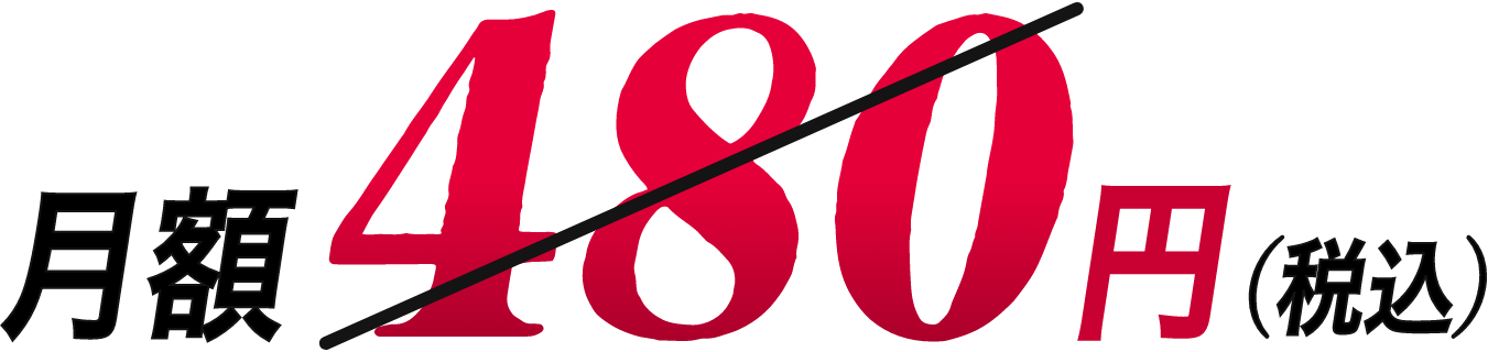 月額480円(税込)